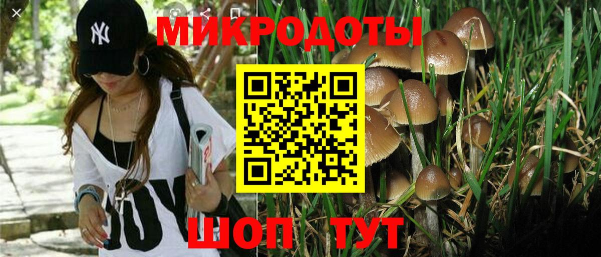 Галлюциногенные грибы Psilocybine cubensis  Псилоцибиновые грибы Cubensis  Бугуруслан  Вход с VPN 